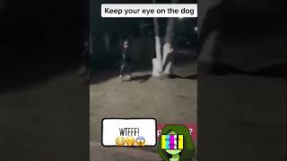Caught On Camera Omg That S A Paranormal Ghost Dog