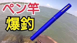 ペン竿で釣りしたら色んな魚が爆釣で楽しかった！