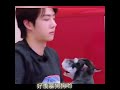 悠闲玩狗的一博 王一博 wangyibo wangyibo王一博 王一博粉丝 yibo