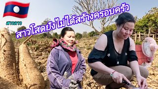 Ep2 เยี่ยมยามถามข้าวสาวครู ยังโสดคืเก่ามีไครสนใจไม่ครับ