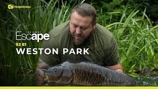 The Great Escape | S2 E1 | Carp Fishing at WESTON PARK