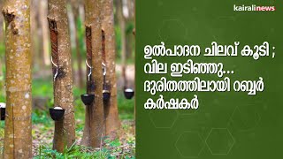 ഉൽപാദന ചിലവ് കൂടി ; വില ഇടിഞ്ഞു...ദുരിതത്തിലായി റബ്ബർ കർഷകർ | Rubber Farmers | Rubber in Kerala