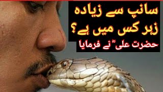 Sanp Se Ziada Zehr Kis Mai Hai? | Snake | Friendship | Hazrat Ali Quotes | Urdu/hindi
