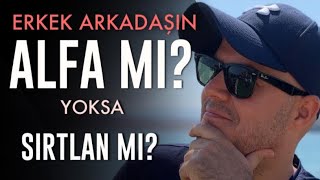 ERKEK ARKADAŞIN BİR ALFA MI YOKSA SIRTLAN MI? ÜÇ MADDEDE ANLAYABİLİRSİN DETAYLI ANALİZLER