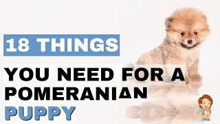 18 Must Have Pomeranian Puppy Supplies!