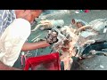 honda dio engine cylinder heart change dio engine setting r1imran