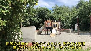 潮來笠july046  ( 桂花咖啡樂團)聽歌 練歌  遊台灣  (台中市大安區龜殼生態公園)