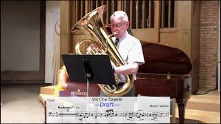 Voi Che Sapete by Mozart/Werden. New Version for Tuba and Piano.