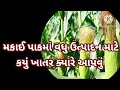 મકાઈ માં વધું ઉત્પાદન માટે ક્યું ખાતર આપવું મકાઈ ની ખેતી makai ni kheti makai ma khatar potash