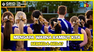 Fakta Menarik - Alasan Warna Rambut Berbeda-Beda