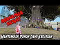 Pemuja Pohon Besar Demi Kekayaan { SESAT } | FILM PENDEK FREE FIRE