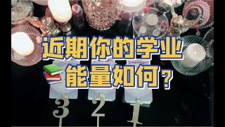 【Light Love欧遥疗愈】🔮近期学业能量？考试运气好吗？给你的学习建议…