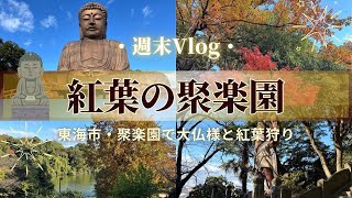 【週末Vlog】愛知県東海市→聚楽園で紅葉狩りと大仏様