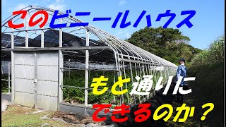 台風で被害にあったビニールハウスを復旧できるのでしょうか？