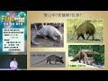 與野生動物共舞–東部淺山野生動物保育的熱門議題