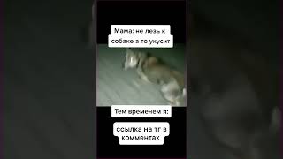 #мем #мемчик #жиза #мемы #юмор #meme #memes #shorts #рек #рекомендации