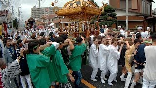 令和元年 坂戸夏祭り 宮神輿渡御 二丁目・粟生田