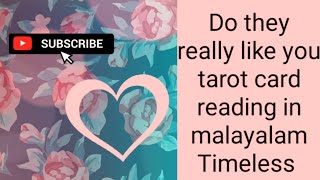 അവർ നിങ്ങളെ ശരിക്കും ഇഷ്ടപ്പെടുന്നുണ്ടോ /do they really like you pick a card reading in malayalam