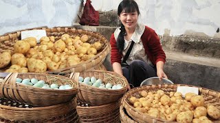 The fair sold 200 catties of potatoes and 50 catties of rice  and 120 native eggs that city people