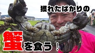 川で獲れた巨大蟹を食う‼ #2