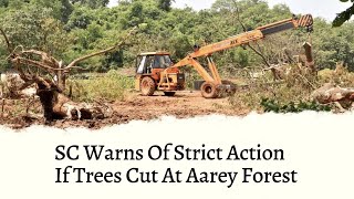 SC Warns Of Strict Action If Trees Cut At Aarey Forest