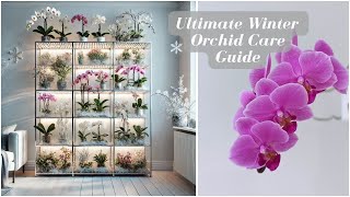 Winter Orchid Care Guide 2024: Tips to Grow & Bloom Orchids Indoors with Lights & Windowsills