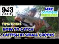 How To Catch Catfish In Creeks (Tips&Tricks)