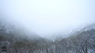 한계령 휴게소 눈과 구름-Resting place Snow and clouds