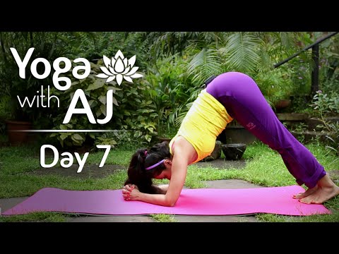 Yoga For Upper Body Strength | Day 7 | Yoga For Beginners - Yoga With ...