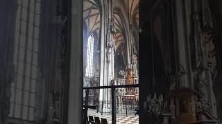 Inside in StephansPlatz Wien / Stephansdom church | oldest part in Vienna Austria 🇦🇹