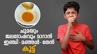 Ginger-Honey-Turmeric Mix For Cough \u0026 Cold  | ചുമയ്‌ക്കും ജലദോഷത്തിനും പരിഹാരം ഇതാ