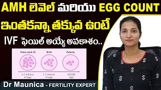 IVF సక్సెస్ పెరగాలంటే | Poor Responders in IVF | Poor Egg Reserve | Best Fertility Center | Ferty9