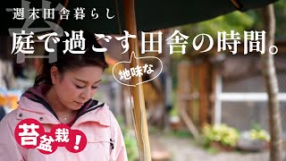 【田舎暮らしvlog】ミニマムな苔庭を作る素朴な日常。 田舎/苔/苔盆栽