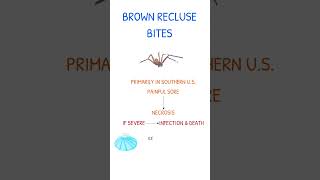 BROWN RECLUSE BITE SYMPTOMS