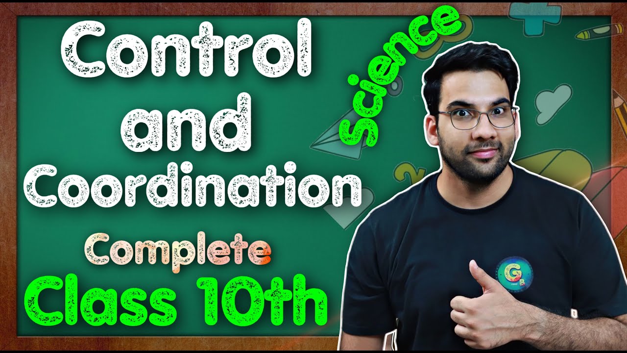 Control And Coordination Class 10 Science Chapter 7 || Chapter 8 ...