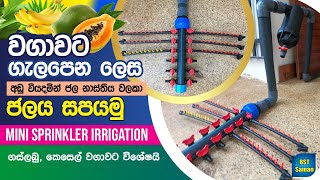 වගාවට ගැලපෙන ජලසම්පාදනය(ගස්ලබු වගාවකට ).mini sprinkler irrigation.