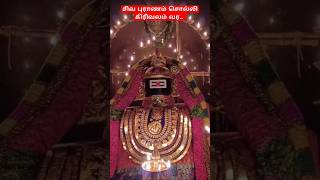 சிவ புராணம் சொல்லி கிரிவலம் வர.. | #ஓம்நமச்சிவாய #சிவாயநம #shortsfeed