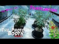 The Photo Booth S2 Ep. 2 | Growing From Clones (Trasplanting) Veg Weeks 5 & 6