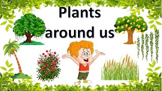 Plants Around Us | Types of plants | Plants Around Us EVS Class 1 | Plants Around Us for kids