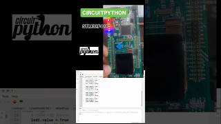 CircuitPython On STM32F412 #trending #stm32