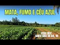 Andando pelo interior de Vera Cruz, RS num domingo de céu muito azul - 10/11/2024