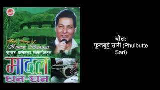 Phulbutte Sari - Kumar Basnet