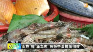 【2016.04.27】天氣趨炎熱 蒼蠅占領南投魚市場 -udn tv