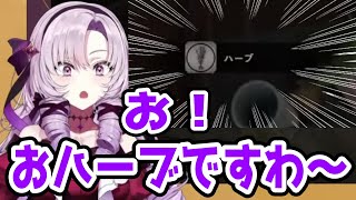 満を持してのおハーブですわ～を披露する壱百満天原サロメ【壱百満天原サロメ/にじさんじ切り抜き】