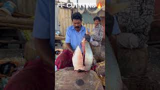 KASIMEDU 🔥 SMILE SEKAR TREVALLY FISH CUTTING VIDEO #kasimedusekar #fishcutting #youtubeshorts