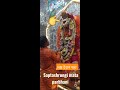 saptashrungi mata parbhani shorts saptashrungimata share viral trending subscribe