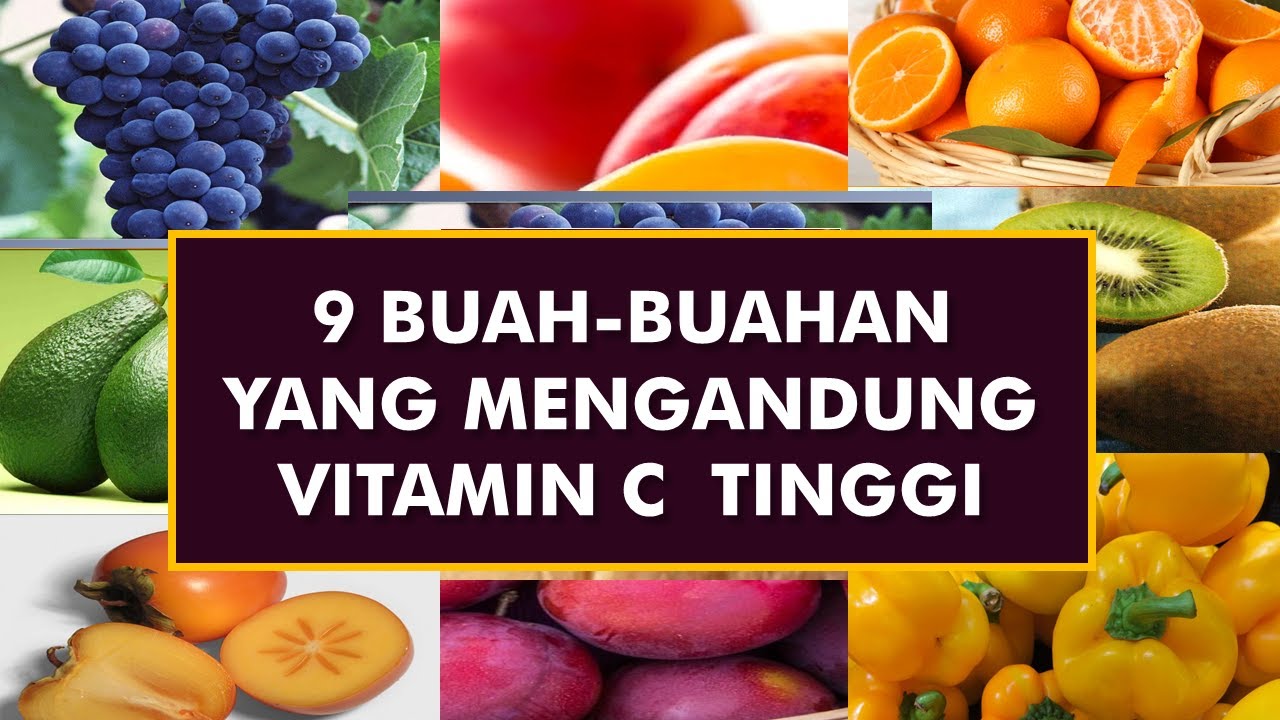 9 BUAH BUAHAN YANG MENGANDUNG VITAMIN C TINGGI - YouTube