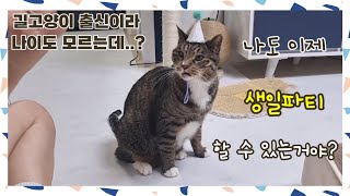 나이는 모르지만 생일파티 해줄게