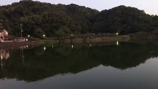 リラックス動画【静岡県伊豆の国市 城池親水公園2】