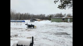 FARMSTEADING. Snowstorm. Getting ready for snow. Cutting firewood. Calf starts eating hay. Plowing.